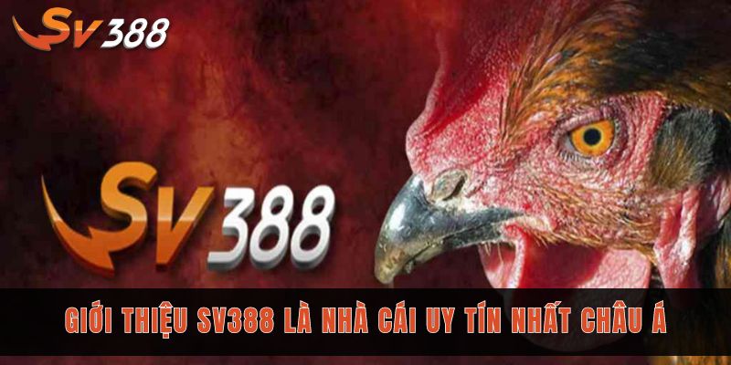 Giới thiệu nhà cái SV388