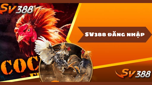 Một vài lưu ý giúp hội viên tạo hồ sơ thành công