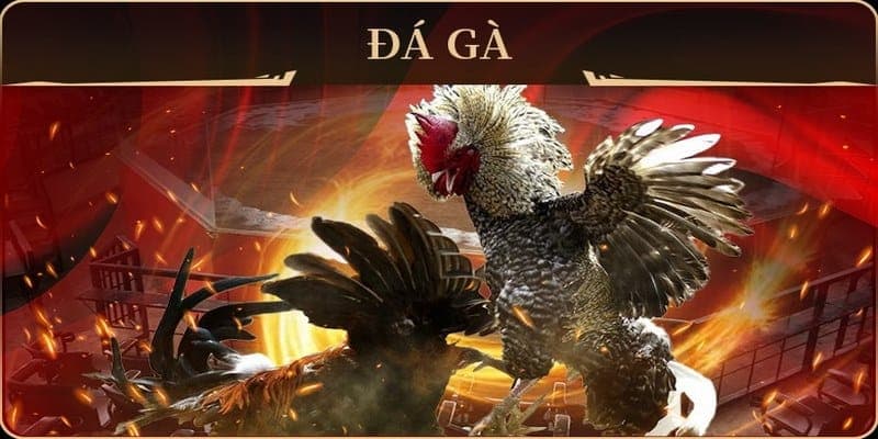 Phân tích kỹ lưỡng các tình huống trong suốt quá trình thi đấu