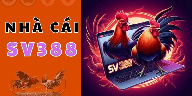 Tìm hiểu về ứng dụng SV388